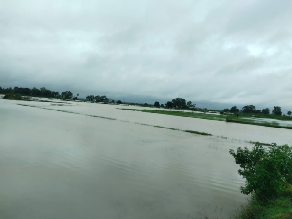 Water logging Water logging