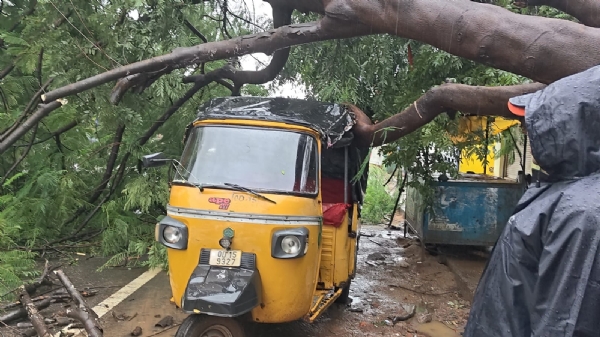 Auto upare padila gachha Auto upare padila gachha