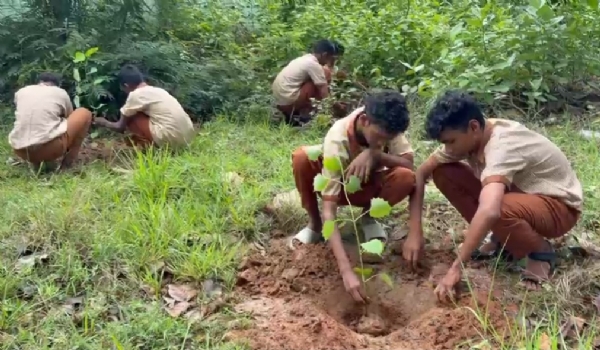 ଜମନକିରା ପଞ୍ଚାୟତ ହାଇସ୍କୁଲ ପଡିଆରେ ୭୭ ତମ ବନ ମହୋତ୍ସବ ପାଳିତ, ମେଗା  ବୃକ୍ଷରୋପଣ ପାଇଁ ଛାତ୍ରଛାତ୍ରୀଙ୍କୁ ବନବିଭାଗ ପକ୍ଷରୁ ସଚେତନତା   ବିଦ୍ୟାଳୟ ପରିସରରେ ମେଗା ବୃକ୍ଷ ରୋପଣ