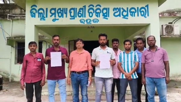 maitri manank dabipatra maitri manank dabipatra