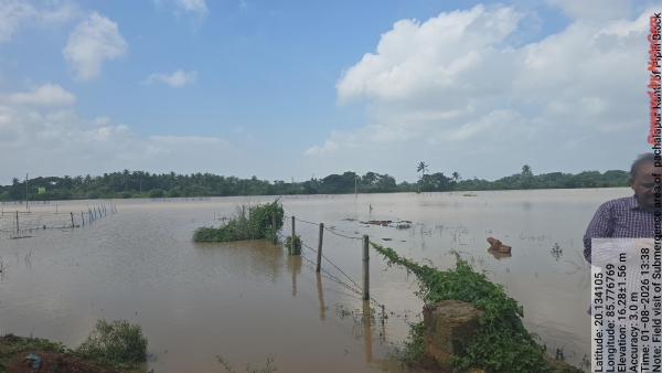 ଚଳିତ ବନ୍ୟାରେ ପୁରୀ ଜିଲ୍ଲା ୧୭୨୨୧ ପ୍ରଭାବିତ