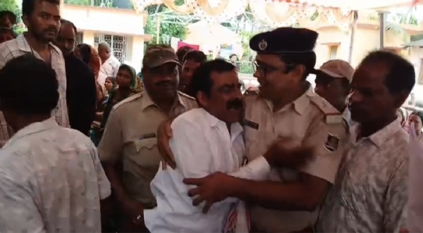 Rajnahar Bisa pile chasi Rajnahar Bisa pile chasi