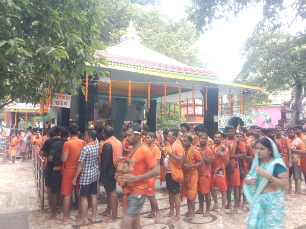 କାଉଡ଼ିଆ କାଉଡ଼ିଆ