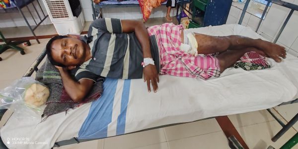 ଟେକଗୁଡ଼ା ଜଙ୍ଗଲରେ ଭାଲୁ ଆତଙ୍କ