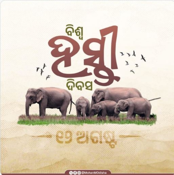 ହାତୀ ହାତୀ