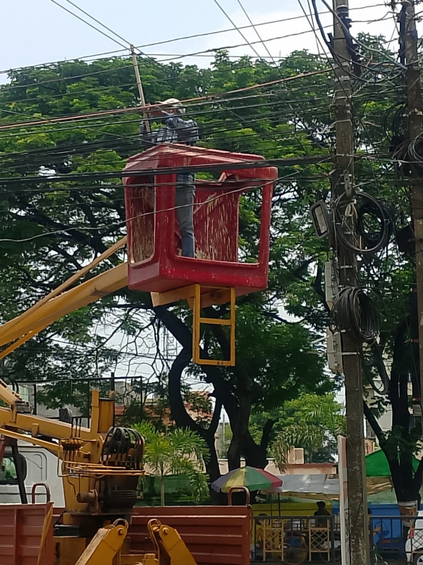 Maintenance of electricity