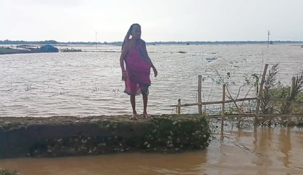 DHAMNAGAR - KHARIF DHANA CHASA NASTA