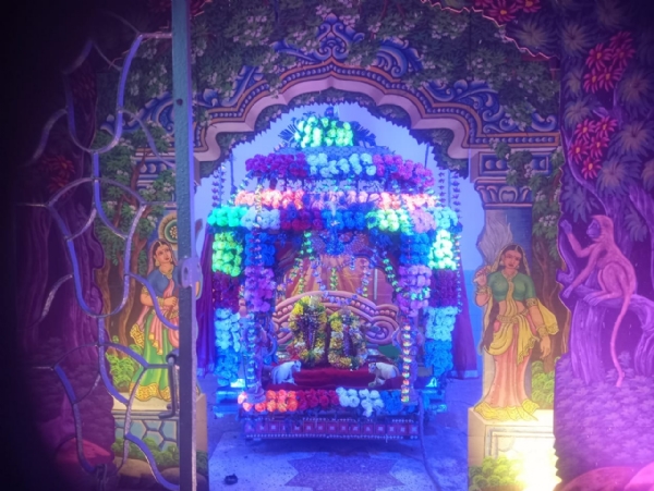 ତୁଳସୀ କ୍ଷେତ୍ର ରେ ଝୁଲଣ ଯାତ୍ରା ଅନୁଷ୍ଠିତ