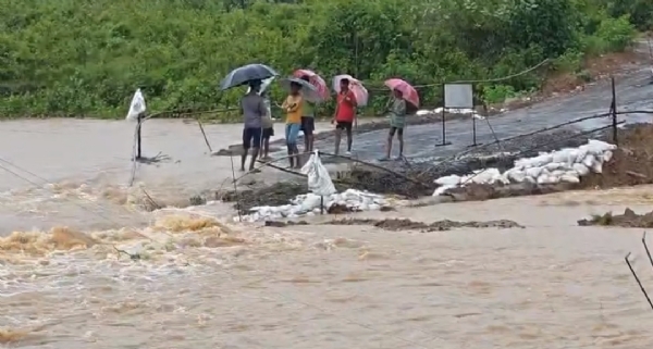 ଲଗାଣ ବର୍ଷା ରେ ବୋରିଗୁମ୍ମା ବେହାଲ