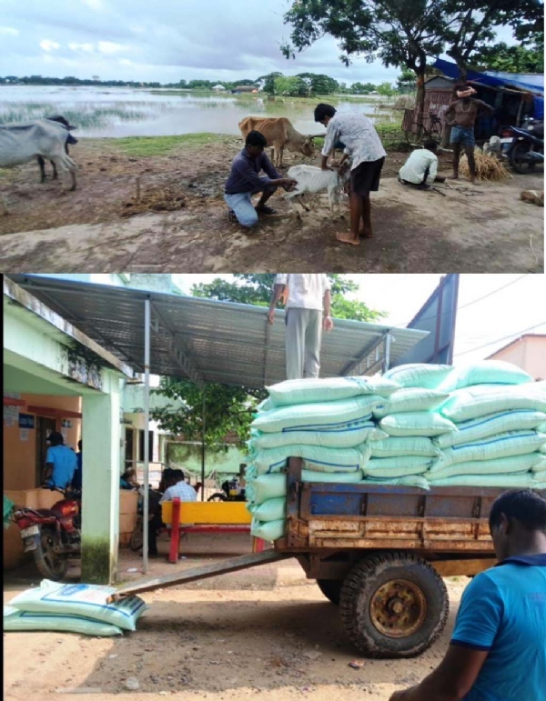 GRUHAPALITA PASU BANYA RE PRABHABITA -2 GRUHAPALITA PASU BANYA RE PRABHABITA -2