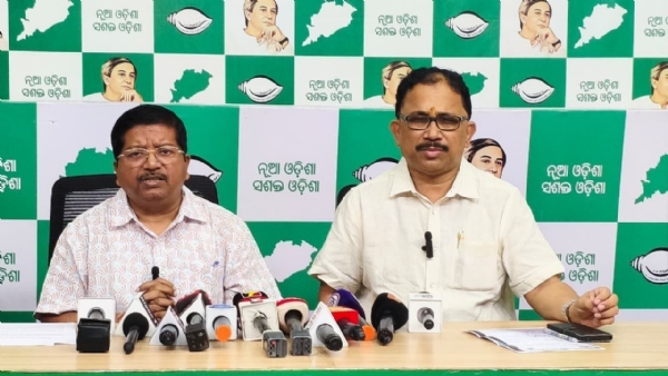 bjd
