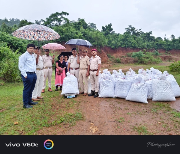 ଜଙ୍ଗଲ ଭିତରୁ ଜବତ ହେଲା ଏକ କୋଟିରୁ ଅଧିକ ଟଙ୍କାର ଗଞ୍ଜେଇ