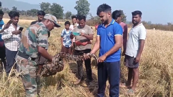Komana Anchal re sap atanka Komana Anchal re sap atanka