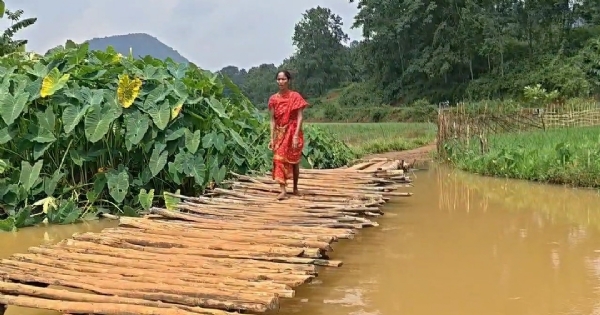 ୮୦ ବର୍ଷ ପରେ ବି ବିକାଶ ଅପହଞ୍ଚ… କାଠପୋଲ ଭରସାରେ ଦୁଆରଶୁଣି
