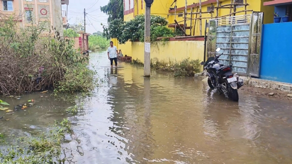 Banya jala gherare Santi nagar