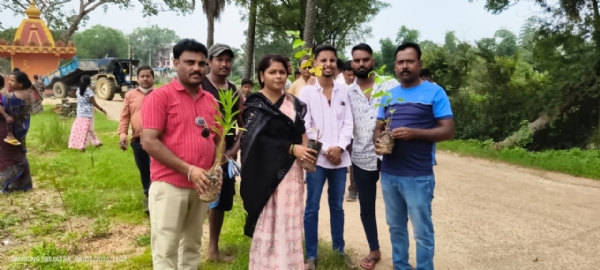 Plantation by Plantation by