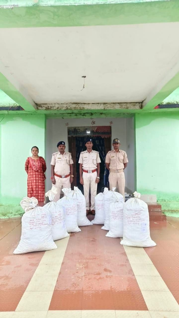 ଝାଟିଗୁଡ଼ା ଜଙ୍ଘଲରୁ ୨୦୩କେଜି ଗଞ୍ଜେଇ ଜବତ