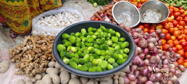 Deshi kankad chahida adhik Deshi kankad chahida adhik