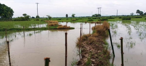 DHAMNAGAR BANYA BADA JANTRANA DHAMNAGAR BANYA BADA JANTRANA