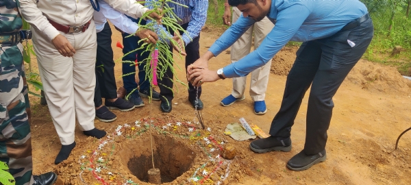 ବ୍ରଜରାଜନଗର ରେଞ୍ଜରେ ବ୍ୟାପକ ମିଆୱାକି ବନୀକରଣ ବ୍ରଜରାଜନଗର ରେଞ୍ଜରେ ବ୍ୟାପକ ମିଆୱାକି ବନୀକରଣ