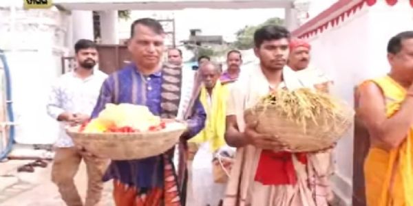 ନୂଆଖାଇ ପର୍ବର ଶୁଭାରମ୍ଭ ସମଲେଶ୍ୱରୀ ମନ୍ଦିରରେ ପହଞ୍ଚିଲା ପ୍ରଥମ ସରିଆ ଧାନ