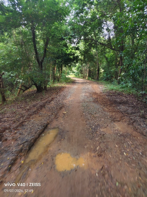 ରାସ୍ତା ର ଫୋଟ
