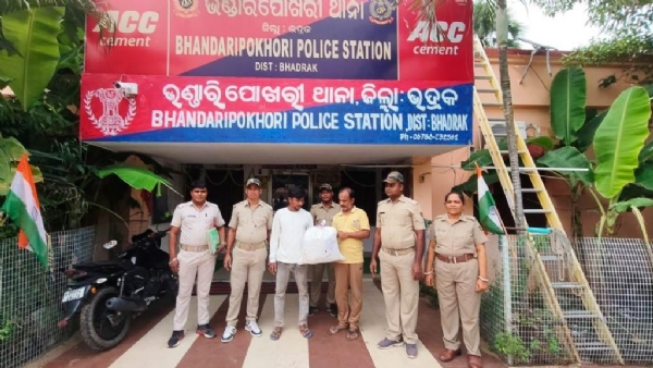 GANJEI SEIZED, TWO ARREST