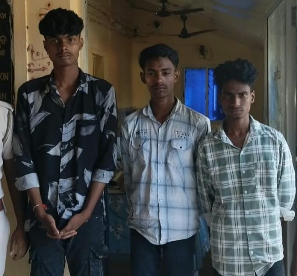 School pilnku mada School pilnku mada
