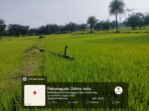 ଗ୍ରିଡ୍ରେ ମହଜୁଦ ରହିଛି ଖୁଣ୍ଟ ତଥାପି ୩ ଦିନ ଧରି ବାରମ୍ବାର ବିଦ୍ୟୁତ୍ ବିଚ୍ୟୁତିରେ ହନ୍ତସନ୍ତ କୁଡୁମୁଲୁଗୁମା ବାସିନ୍ଦା! ଗ୍ରିଡ୍ରେ ମହଜୁଦ ରହିଛି ଖୁଣ୍ଟ ତଥାପି ୩ ଦିନ ଧରି ବାରମ୍ବାର ବିଦ୍ୟୁତ୍ ବିଚ୍ୟୁତିରେ ହନ୍ତସନ୍ତ କୁଡୁମୁଲୁଗୁମା ବାସିନ୍ଦା!