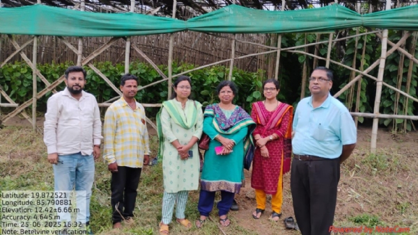 ସବୁଜ ସୁନା ଜଣେ ଗ୍ରାମୀଣ ଯୁବକର ଅର୍ଥନୀତିକୁ ପରିବର୍ତ୍ତନ କରୁଛି ।