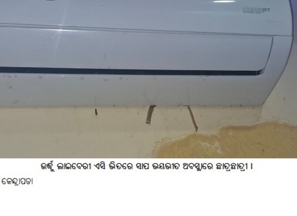 ଉର୍ଦ୍ଧୁଲାଇବେରୀଏସିଭିତରେସାପ ଭୟଭୀତ ଅବସ୍ଥାରେଛାତ୍ରଛାତ୍ରୀ । ଉର୍ଦ୍ଧୁଲାଇବେରୀଏସିଭିତରେସାପ ଭୟଭୀତ ଅବସ୍ଥାରେଛାତ୍ରଛାତ୍ରୀ ।