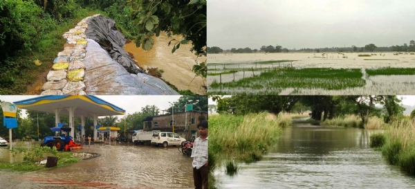 DHAMNAGAR LAGANA BARSA & BAITARANI BANYA DHAMNAGAR LAGANA BARSA & BAITARANI BANYA