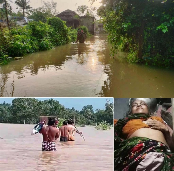 BIROLI SAPA KAMUDA MRUTA BIROLI SAPA KAMUDA MRUTA