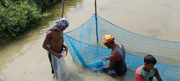 ଝାରସୁଗୁଡ଼ା ଏକତାଲି ସରକାରୀ ଫାର୍ମରେ ମାଛ ଯାଆଁଳ ବିକ୍ରି ଆରମ୍ଭ ଝାରସୁଗୁଡ଼ା ଏକତାଲି ସରକାରୀ ଫାର୍ମରେ ମାଛ ଯାଆଁଳ ବିକ୍ରି ଆରମ୍ଭ