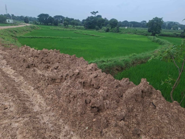 ସିନ୍ଧେକେଲା-ଭୁଷଲାଡ୍ ରାସ୍ତାକାମରେ ଖୋଲା ଦୁର୍ନୀତି