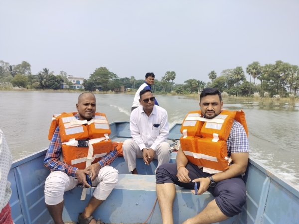 Pani Pani
