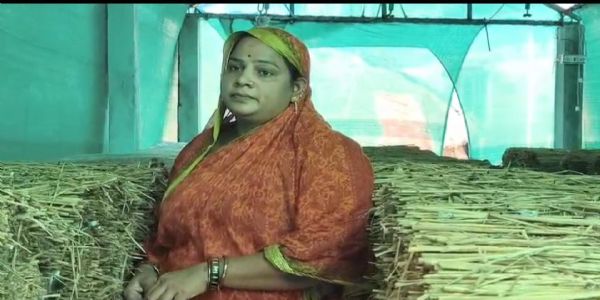 ଛତୁ ଚାଷରେ ରୋଜଗାର, ଗ୍ରାମୀଣ ମହିଳାଙ୍କ ପାଇଁ ଆଦର୍ଶ ଗୀତାଞ୍ଜଳି