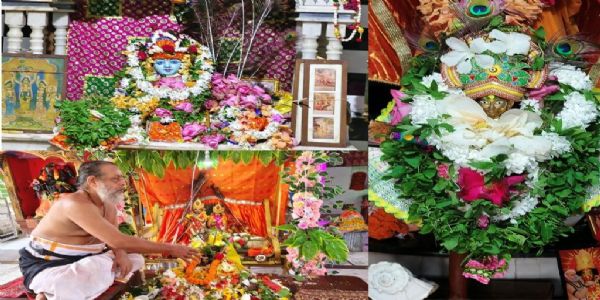 ଭଦ୍ରକ - ବାଲଗୋପାଲ, ଲୋକନାଥ ଓ ଦକ୍ଷିଣେଶ୍ୱର କାଳୀ ମନ୍ଦିରରେ ପବିତ୍ର ଜନ୍ମାଷ୍ଟମୀ ପାଳିତ