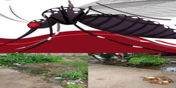 ଡେଙ୍ଗୁ, ମାଲେରିଆ ଓ ଫାଇଲେରିଆ ସଚେତନତା ରଥ ପରିକ୍ରମା ପ୍ରହସନରେ ପରିଣତ